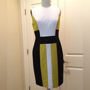 Calvin Klein Dress Size 6 Black/Green/White